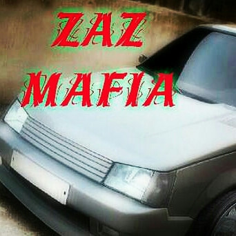 Молодіжний рух ZazMafia 🤓 1