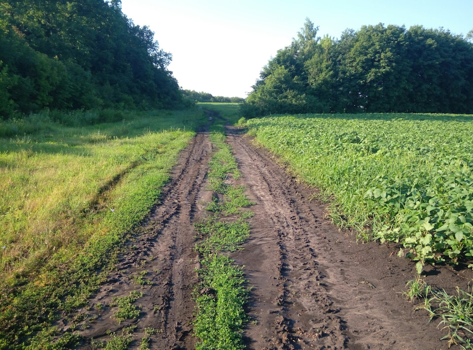 Ранкові покатушки 😁 3