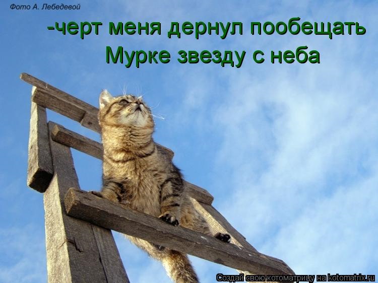 Нехороші люди... 1