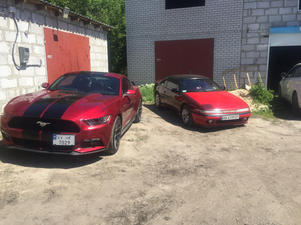 Новий друг у сім'ї… 4