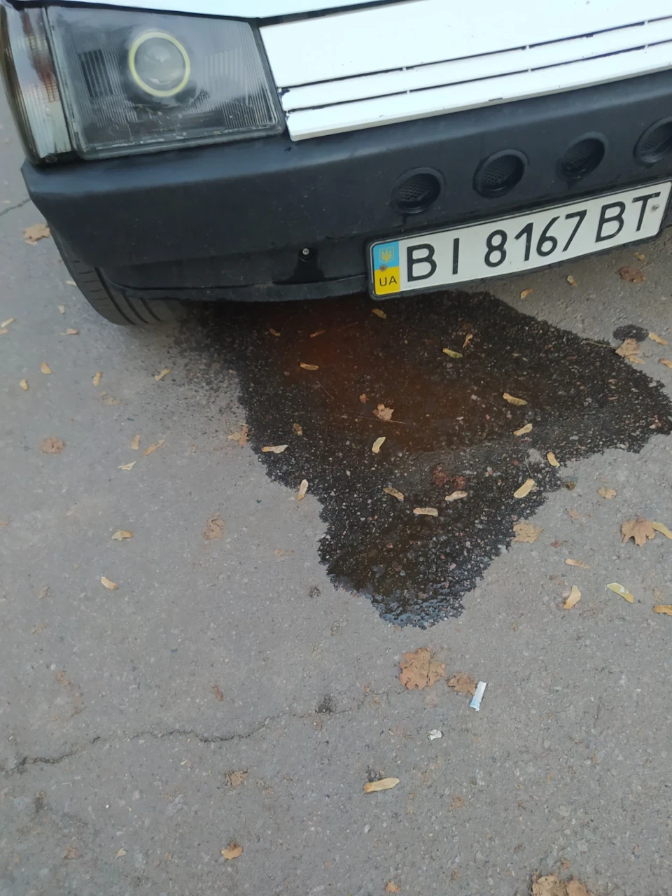 Як запчастина за п'ятірку, робила мозок півдня