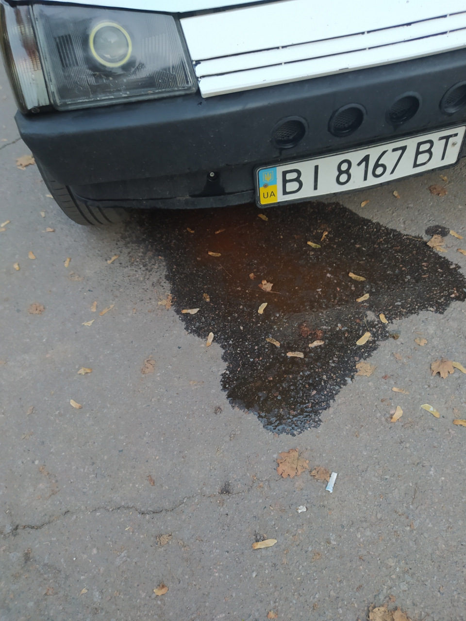 Як запчастина за п'ятірку, робила мозок півдня 1