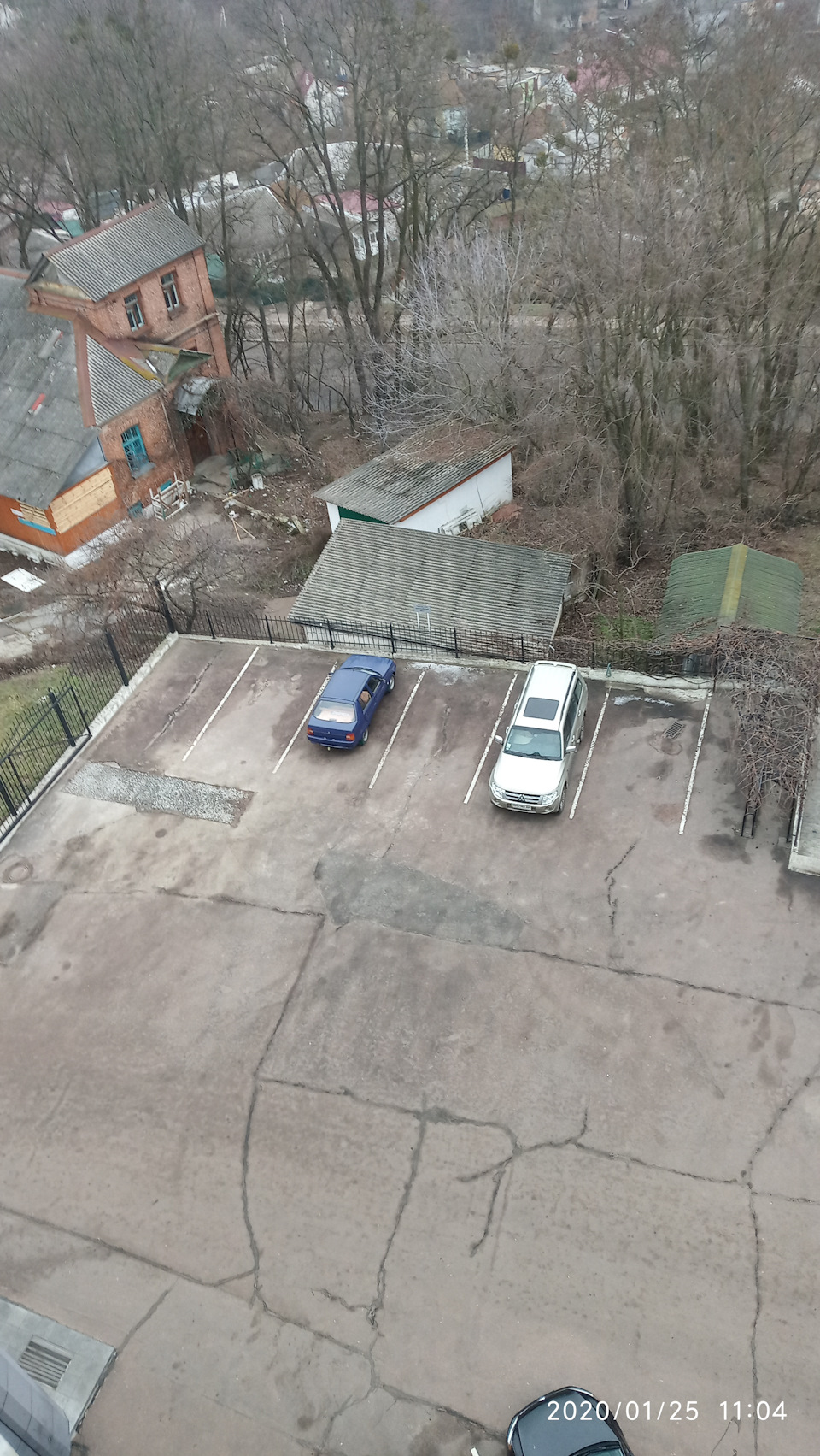 Новий кінь) 2