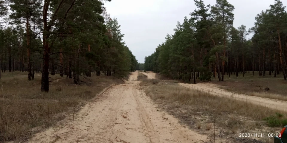 Продовження грибного сезону.