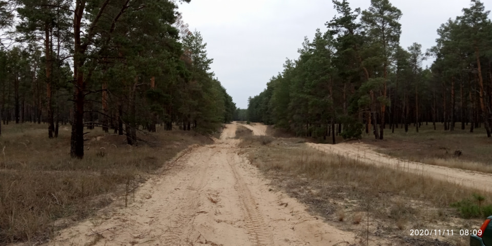 Продовження грибного сезону. 1