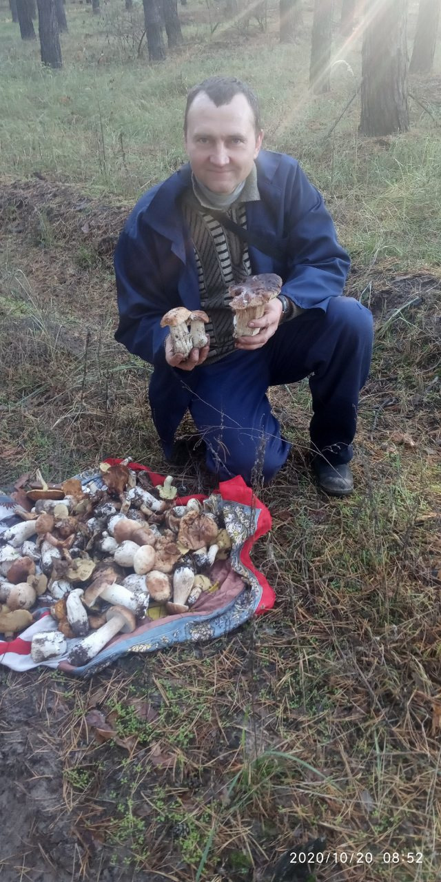 Здійснилася мрія. 2