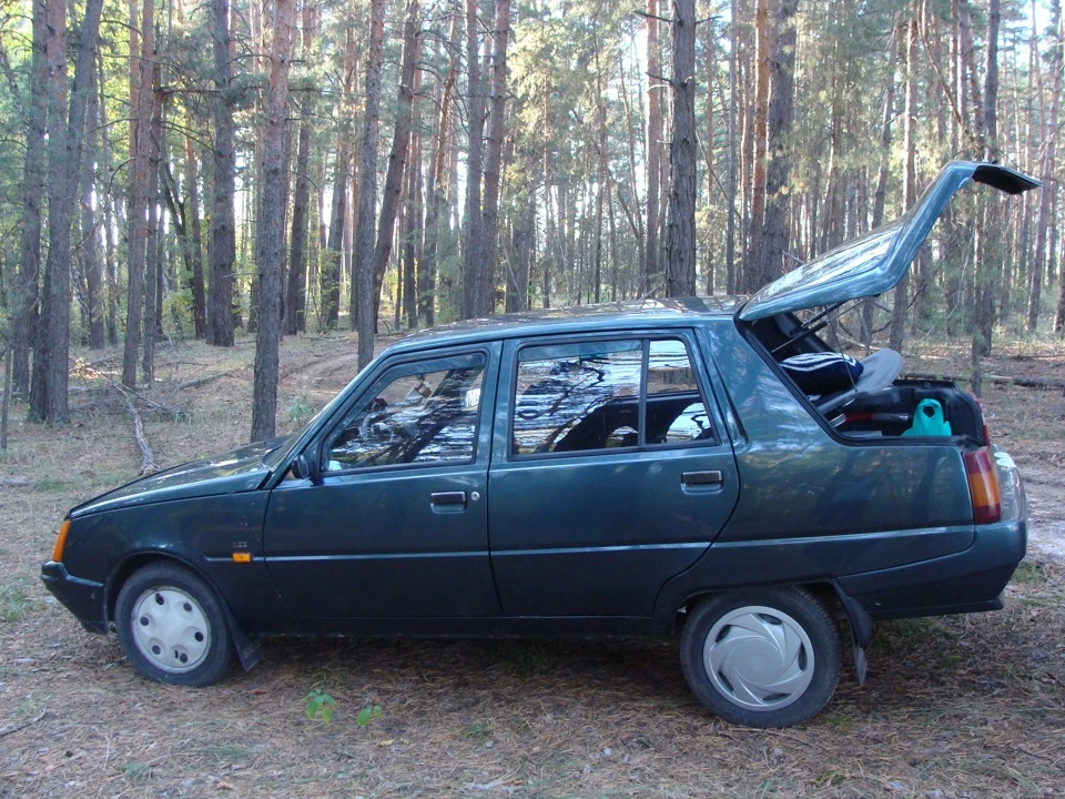 В ліс по гриби