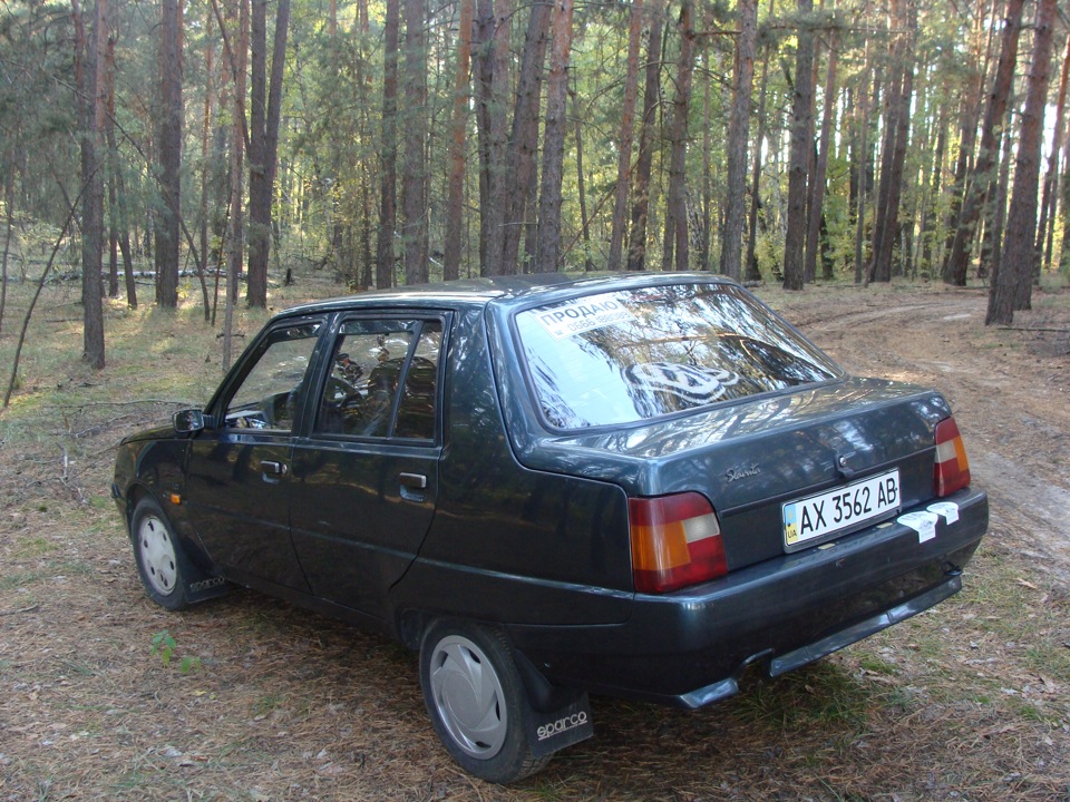 В ліс по гриби 5