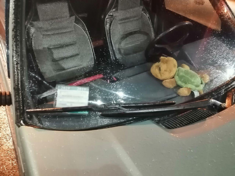 Заміна штатного повідця двірника на Вазовський 1