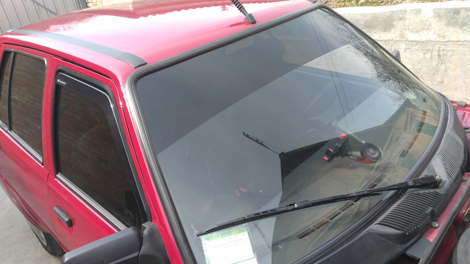 Віддам Славку в добрі руки 4