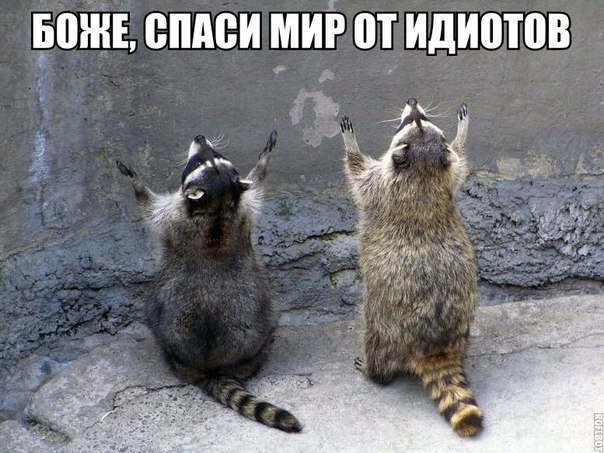 Невеликий заряд - гарного настрою! 2