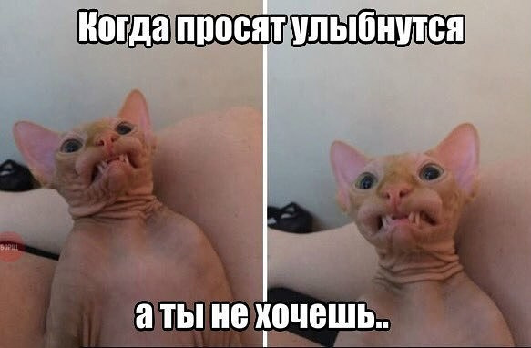 Невеликий заряд - гарного настрою! 1