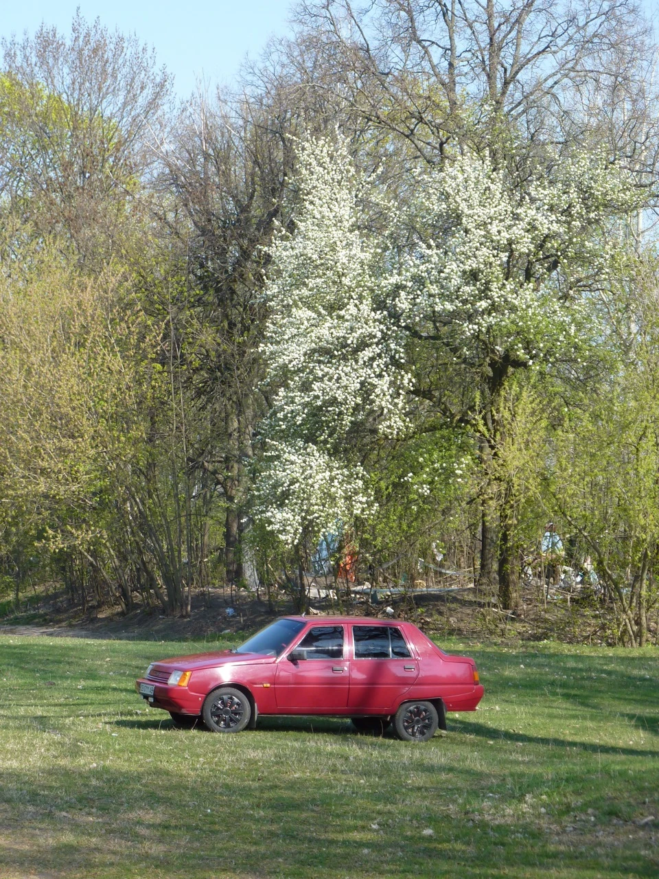 Заціни фотку)