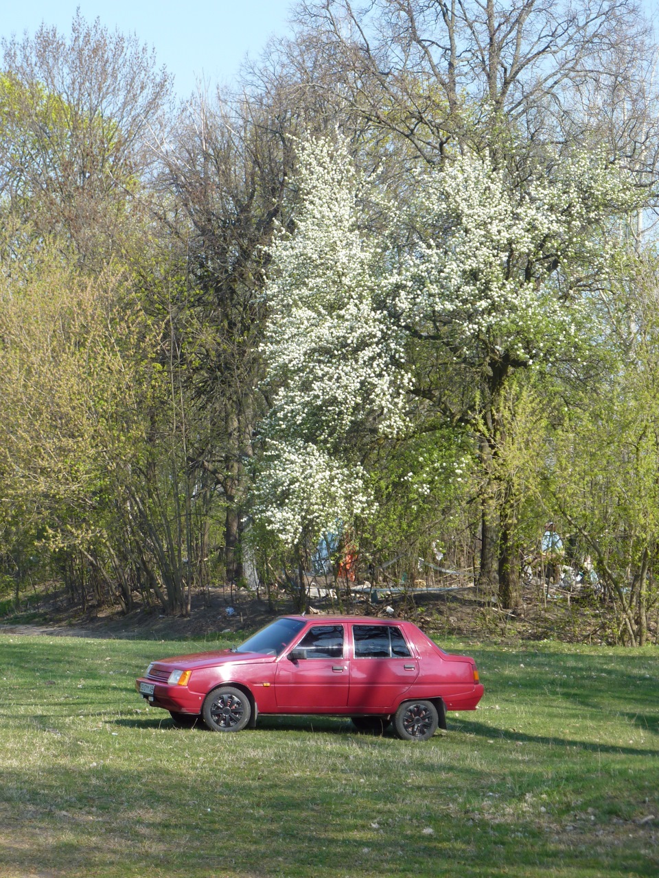 Заціни фотку) 1