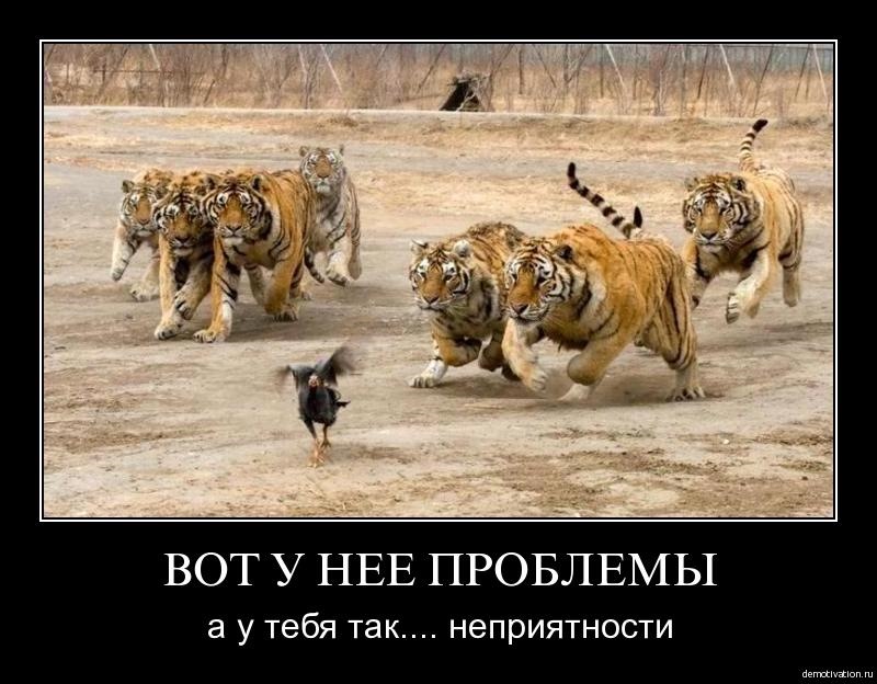 Неприємності 5