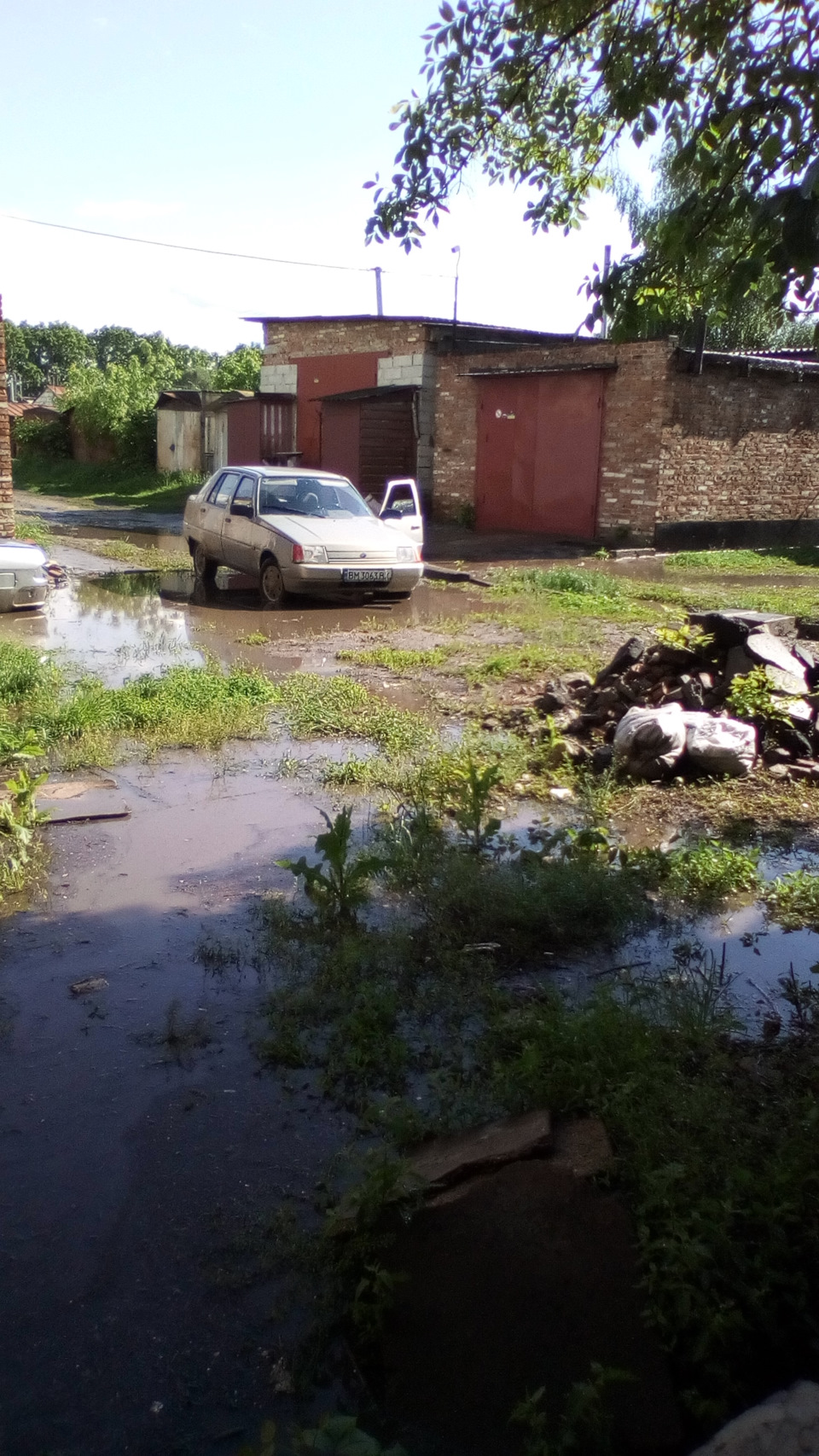 Весна 2020 на Землі. 2