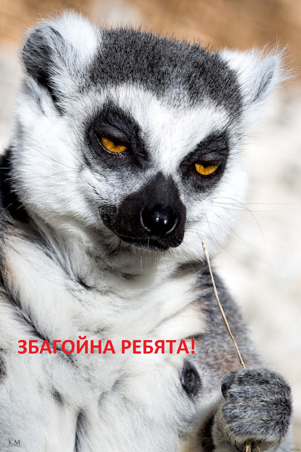 Встановлення центрального замка в задні двері + шумоізоляція. 4