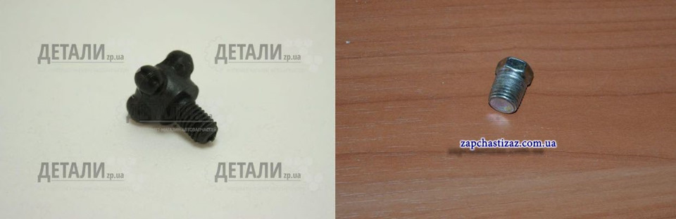 Дрібні цикуни , великі радості :D 4