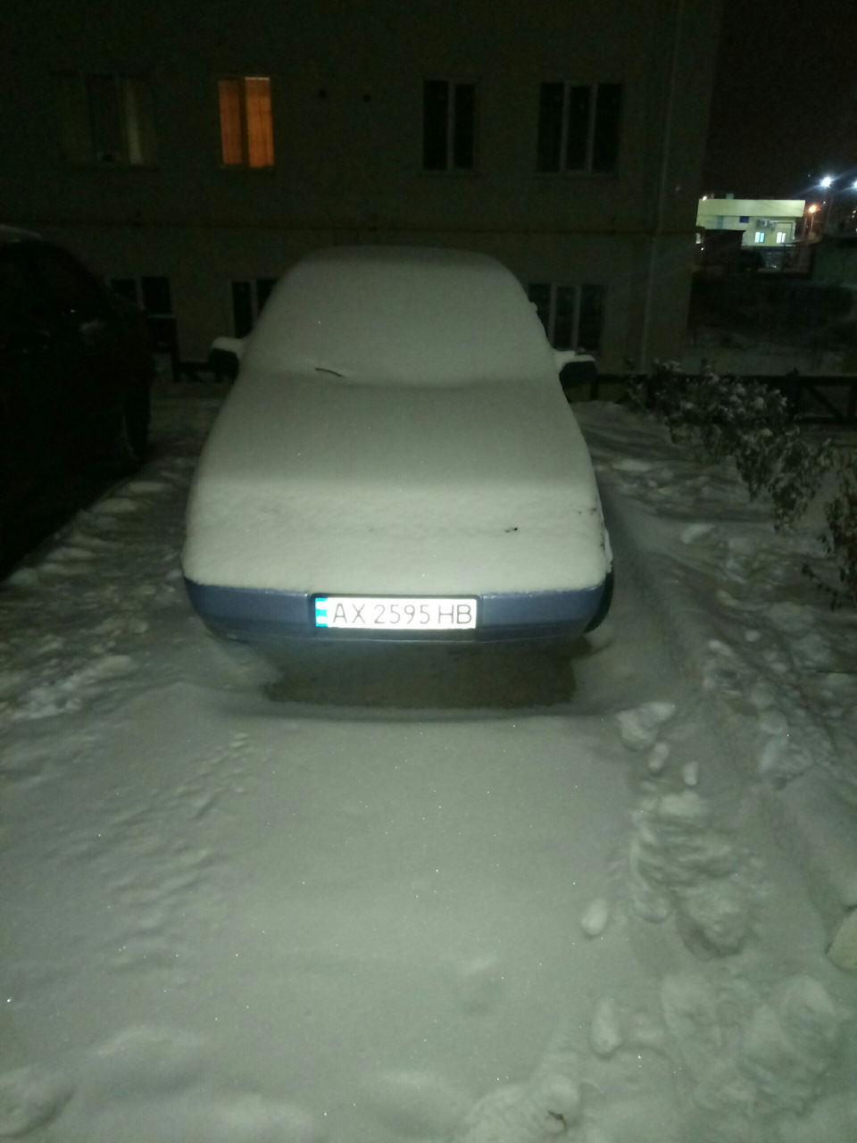 Фіалка на зимовій відпустці 4