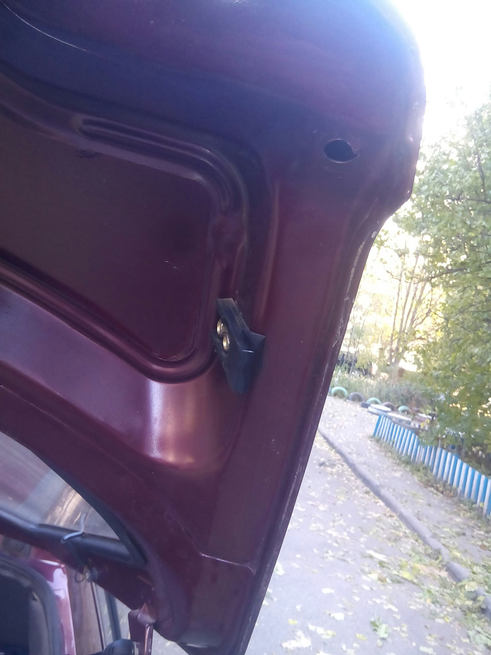 Впіймав цвіркуна 1