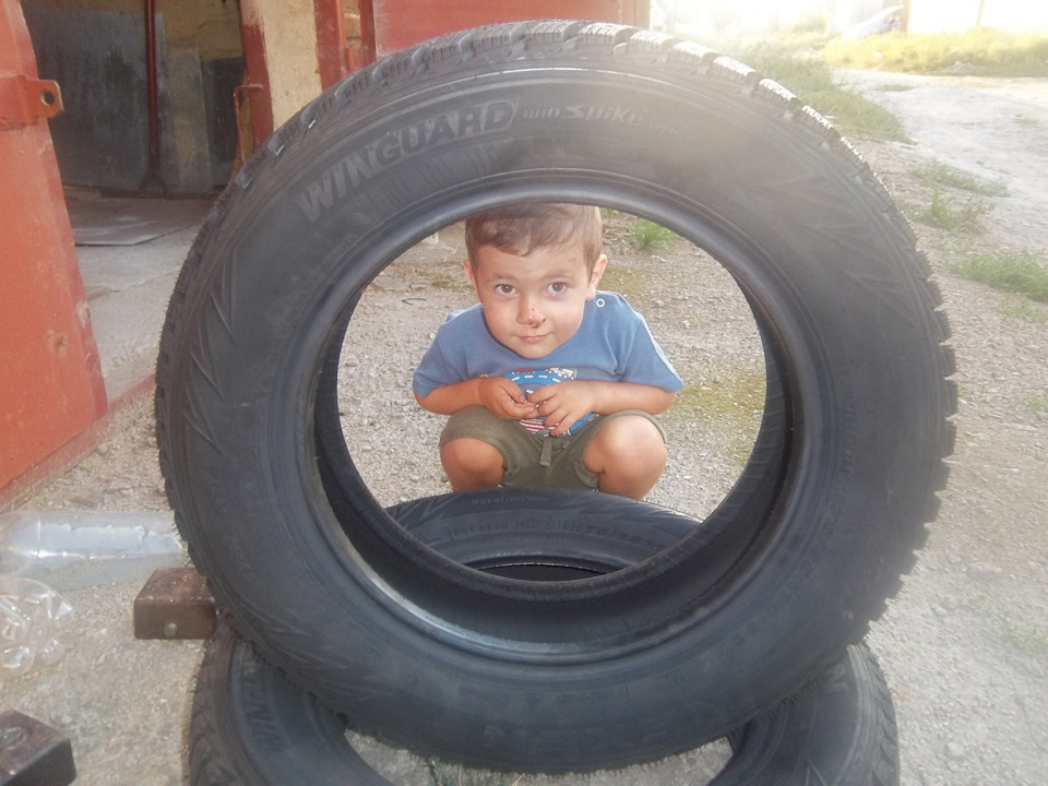 Покупка зими Nexen 175/65 R14 2