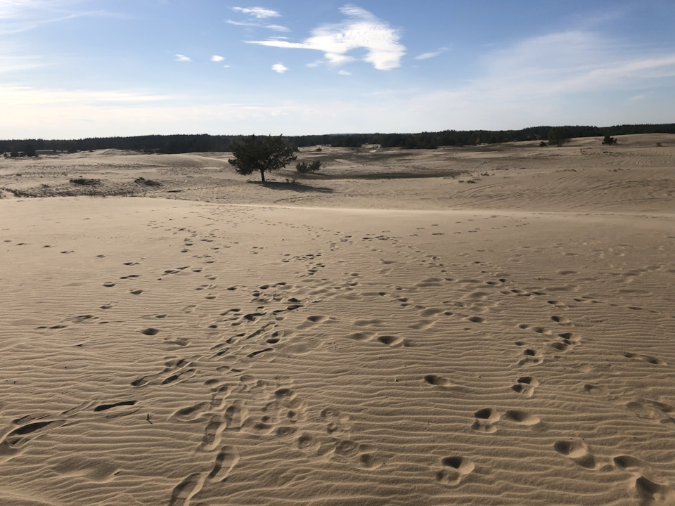 Прогулянка на природу до пустелі та водосховища 5