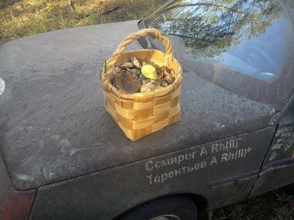Поїздка до лісу за грибами 4