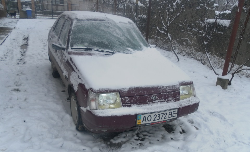 ...і до нас прийшла зимушка 4