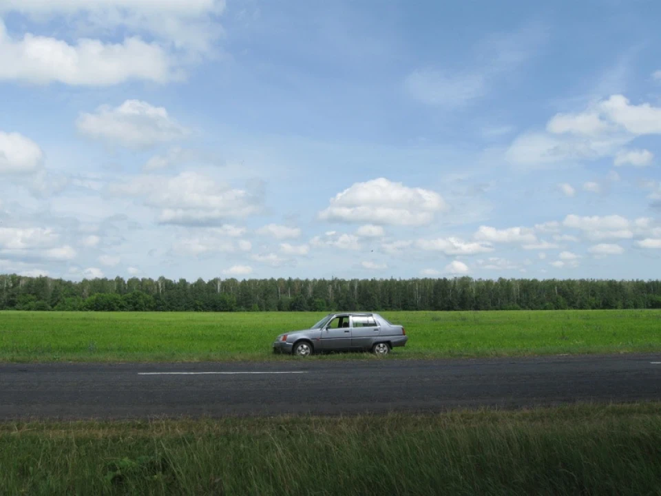 Краснокутский дендропарк