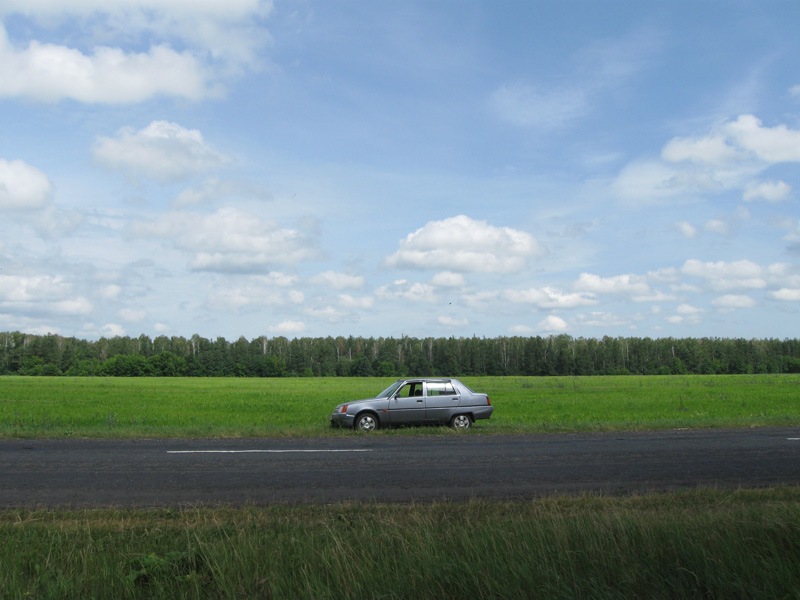 Краснокутский дендропарк 1