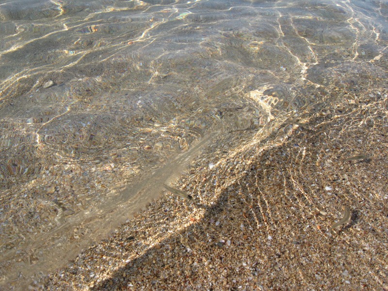 Крим 2010 3