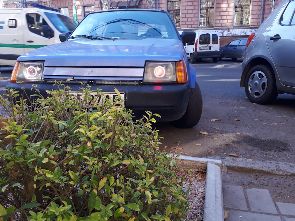 Зашумилися 1