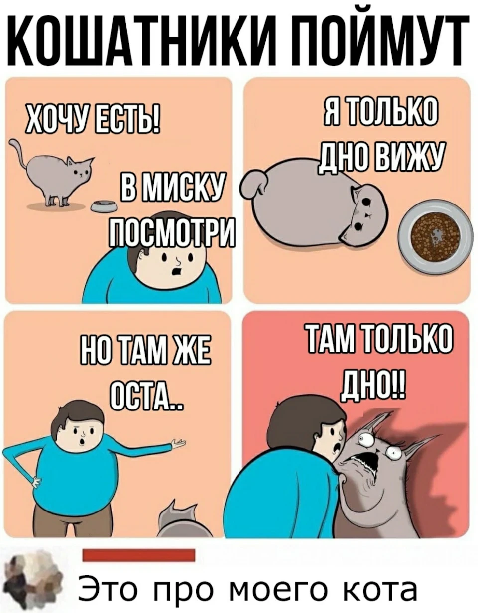 Потік Дааз! Піч