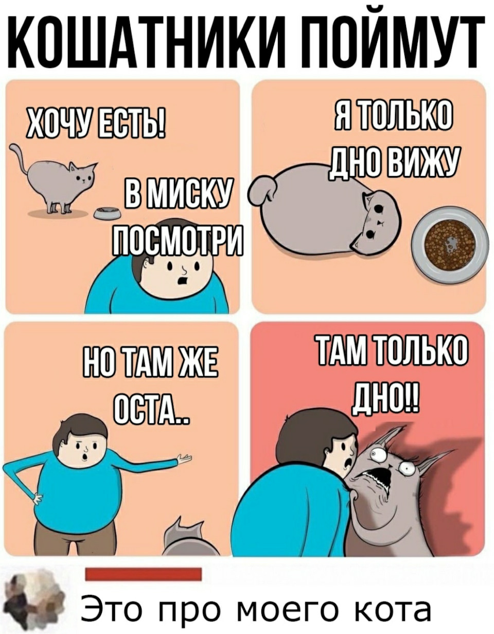 Потік Дааз! Піч 1
