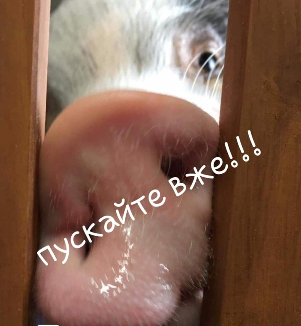 З Новим Роком 1