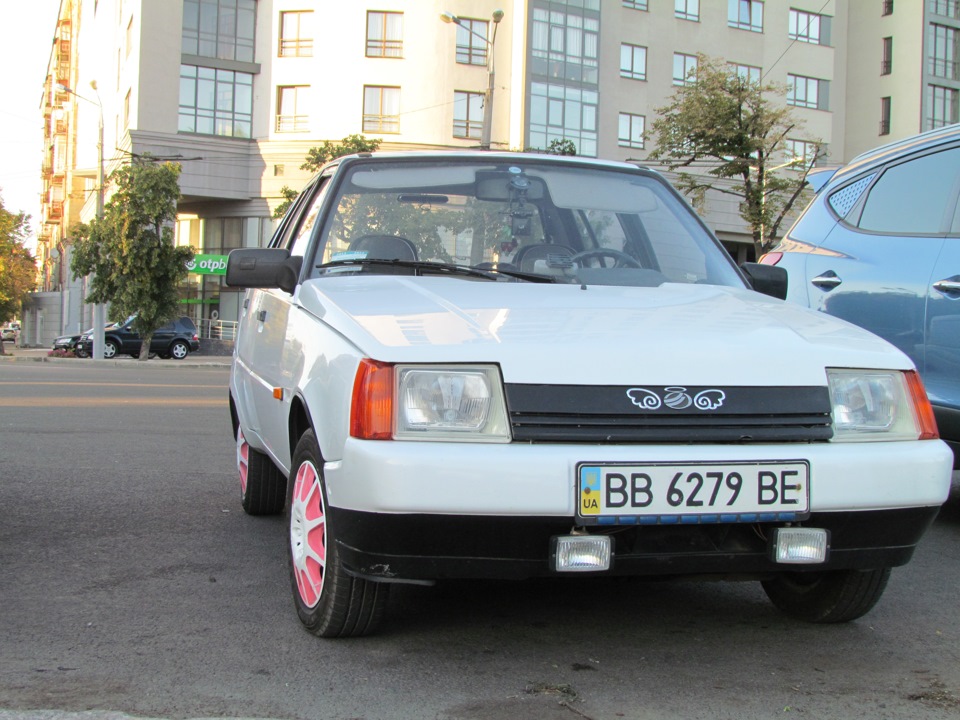 На вигулі 5