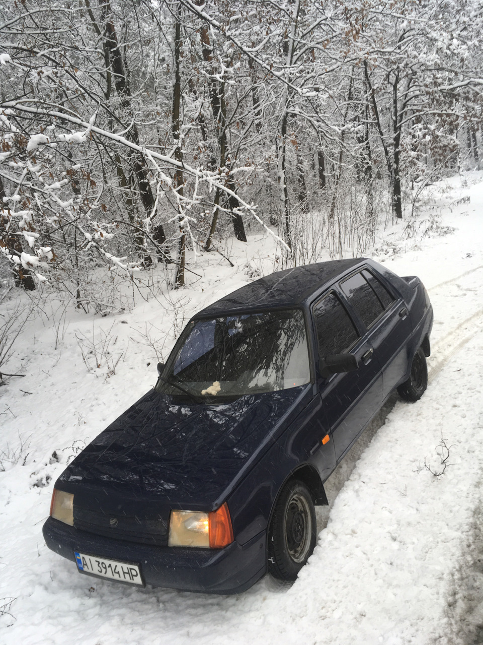 Те, що відбувається ... 4