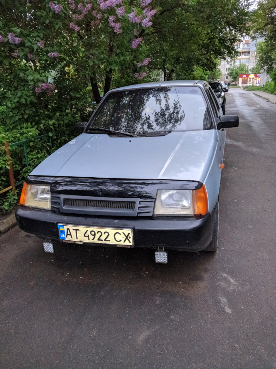 Мухобійка капота Славута 2