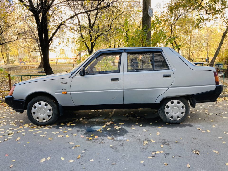 Ось і кінцевий результат фарбування порогів 1