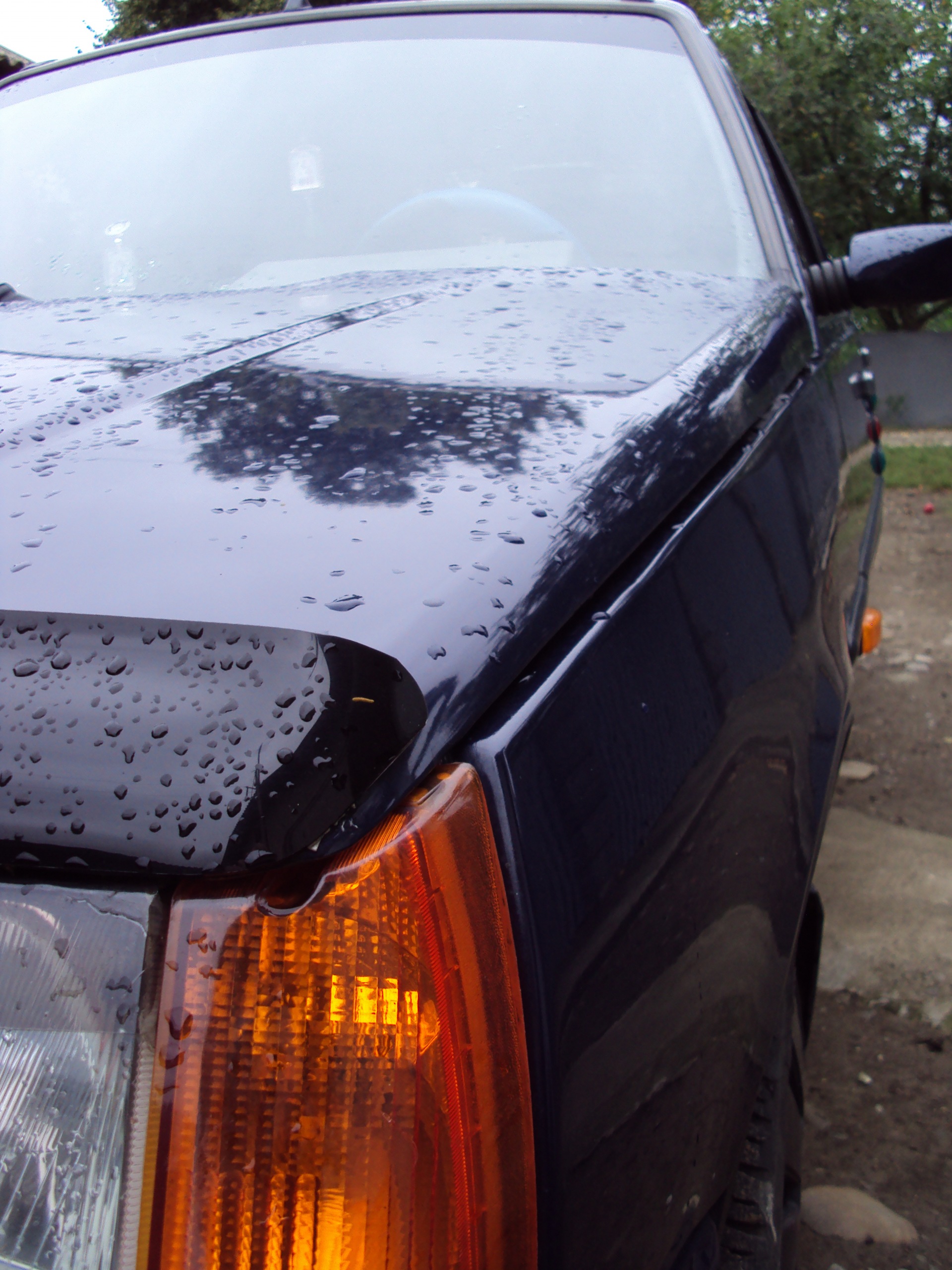 Rain and S-Emotion 2