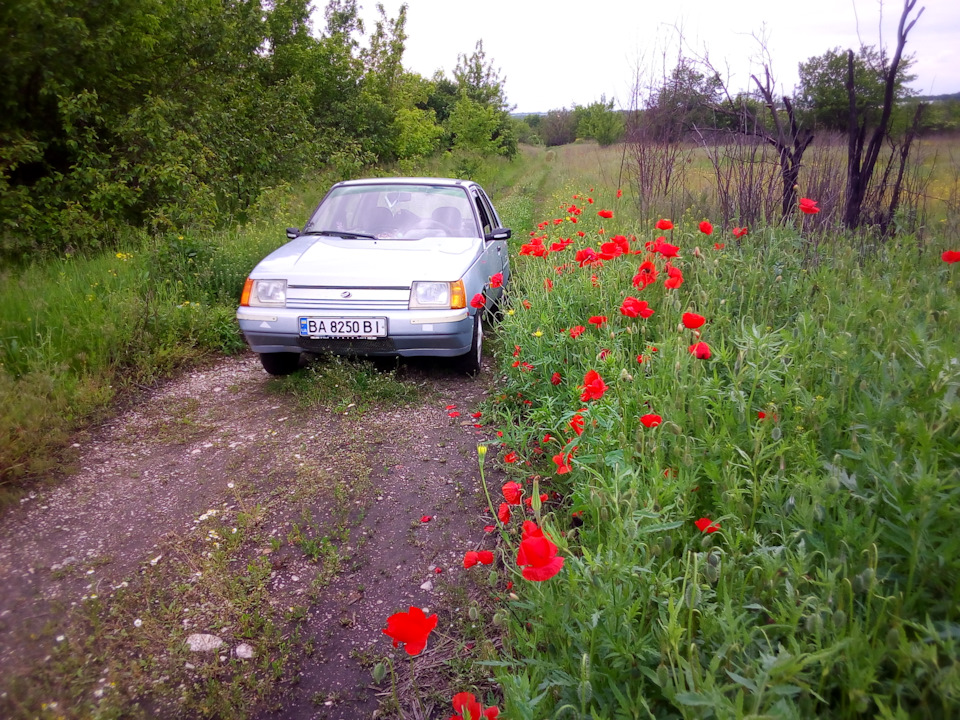 Життя продовжується. 1