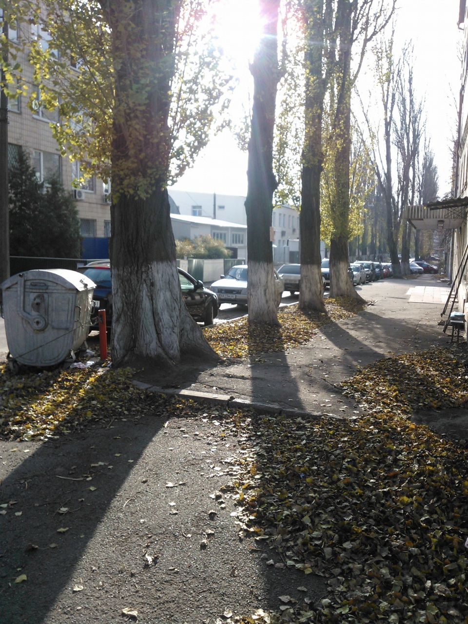 Вієрна форсунка. 2