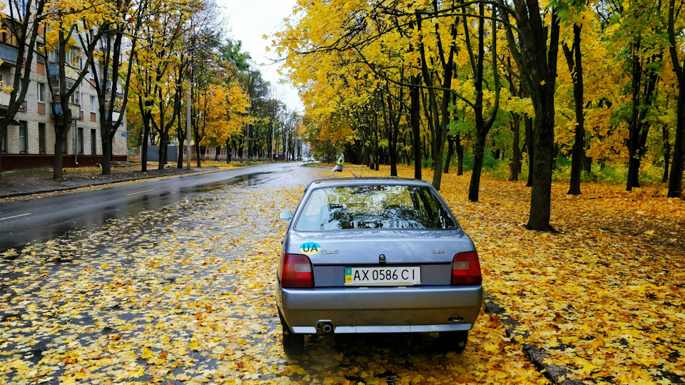 Осінні фотки та стан справ 2