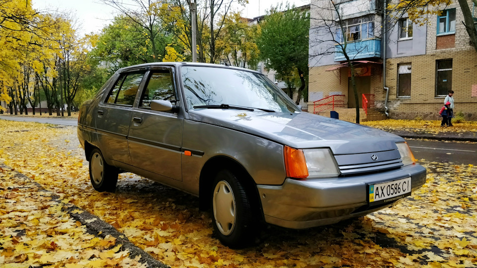 Осінні фотки та стан справ 4