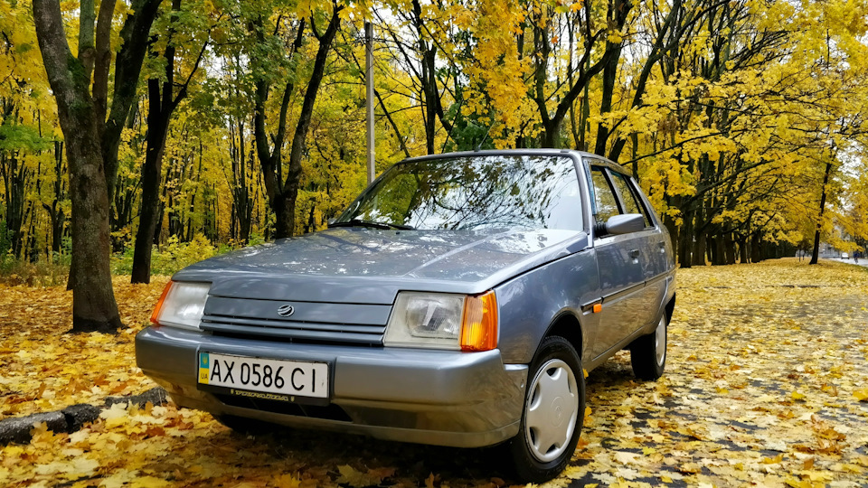 Осінні фотки та стан справ 1