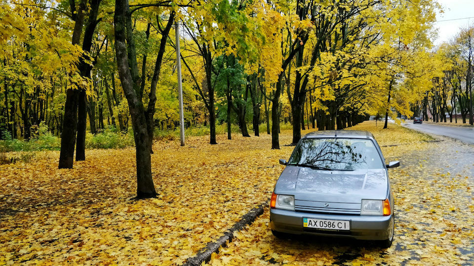 Осінні фотки та стан справ 5