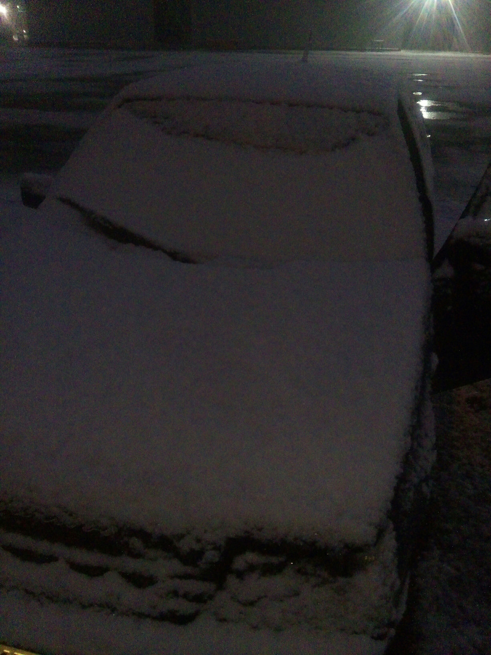 Снег 27.03.19 г. 3