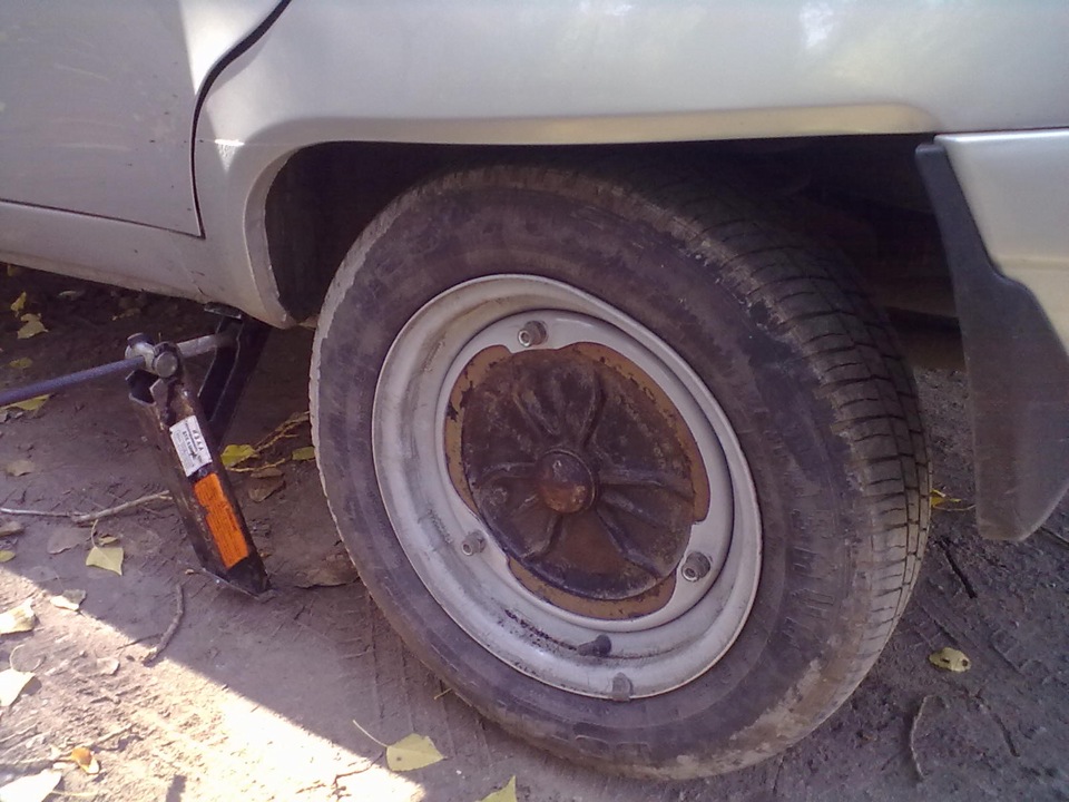 Приоранжувалися ))))) 1