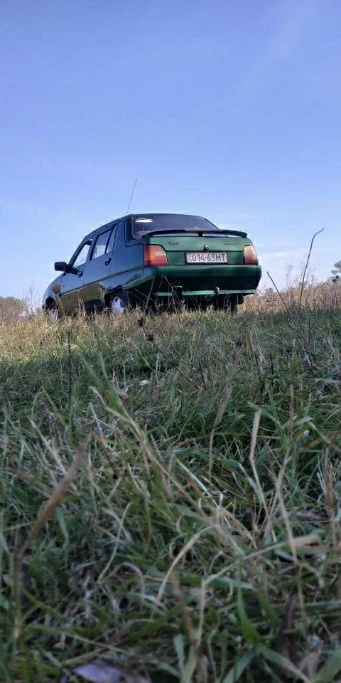 Мої біди за цю зиму 1