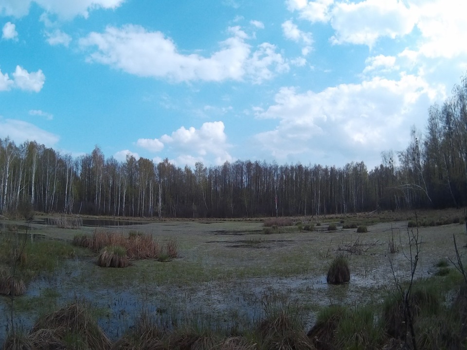 Нарешті ми з фарами) 2